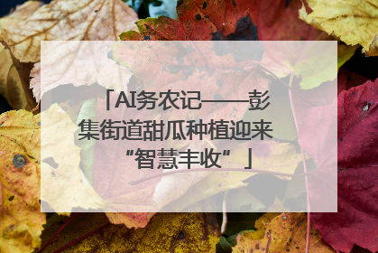 AI务农记——彭集街道甜瓜种植迎来“智慧丰收”