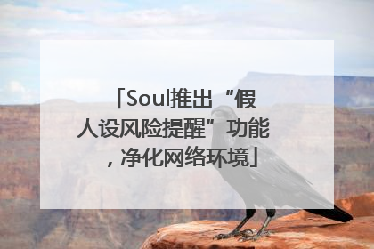 Soul推出“假人设风险提醒”功能，净化网络环境