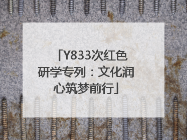 Y833次红色研学专列：文化润心筑梦前行